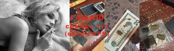 трава Корсаков