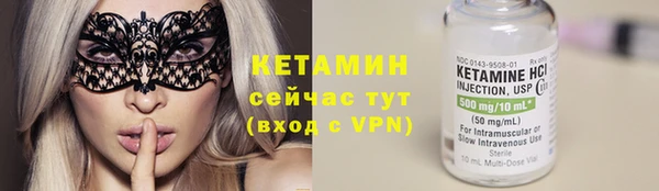 трава Корсаков