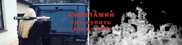 трава Корсаков