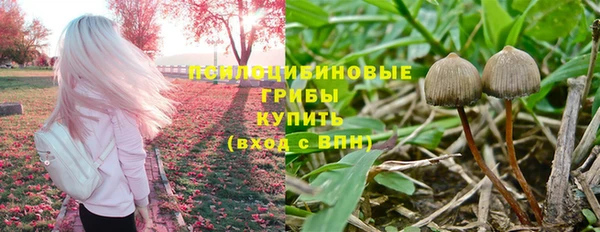 трава Корсаков