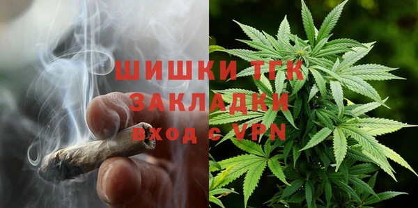 трава Корсаков