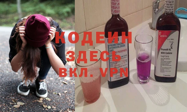 трава Корсаков