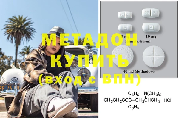 трава Корсаков