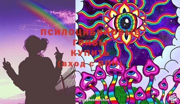 ПСИЛОЦИБИНОВЫЕ ГРИБЫ Коряжма