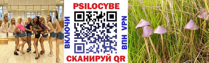 Галлюциногенные грибы мицелий  Купить где  Котово 